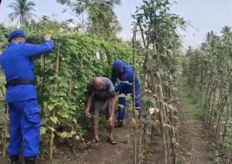 Ketahanan Pangan Mako Perwakilan Das Kahayan Bahaur Ditpolairud