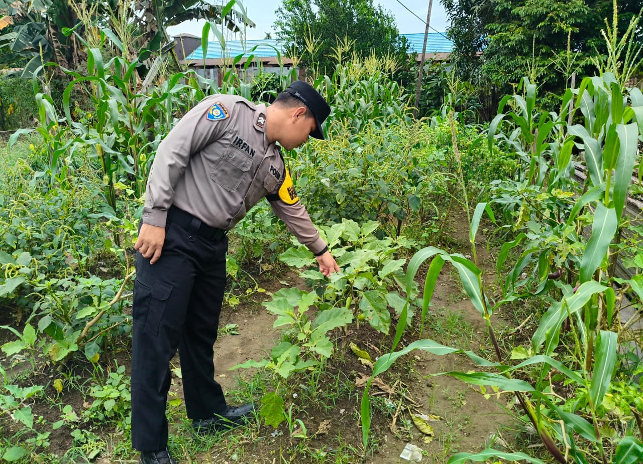 Dukung Ketahanan Pangan, Piket Polsek Marikit Cek Lokasi Pemanfaatan Pekarangan.