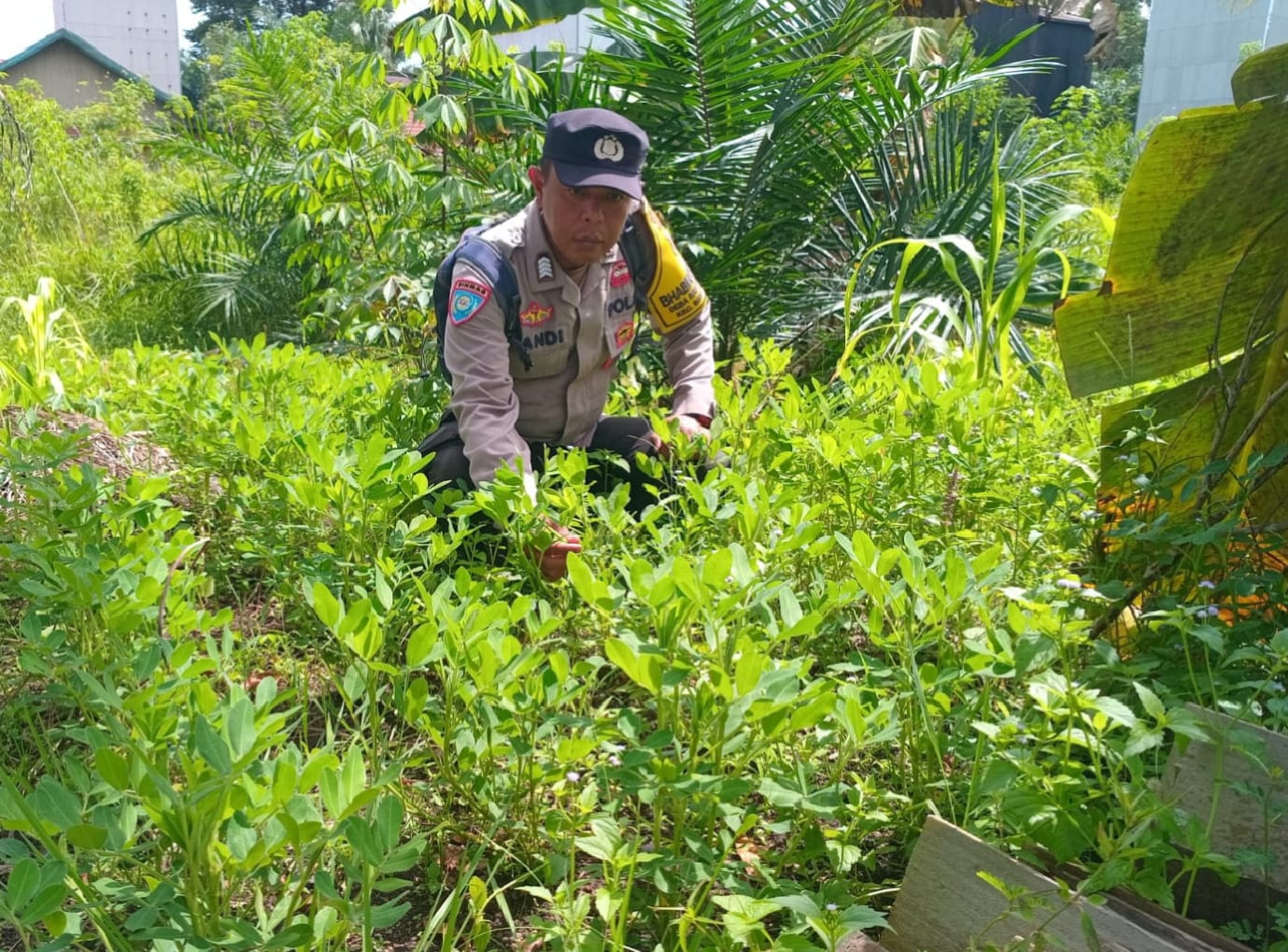 Personil Polsek Sanaman Mantikei Cek Lokasi Pemanfaatan Pekarangan Warga.