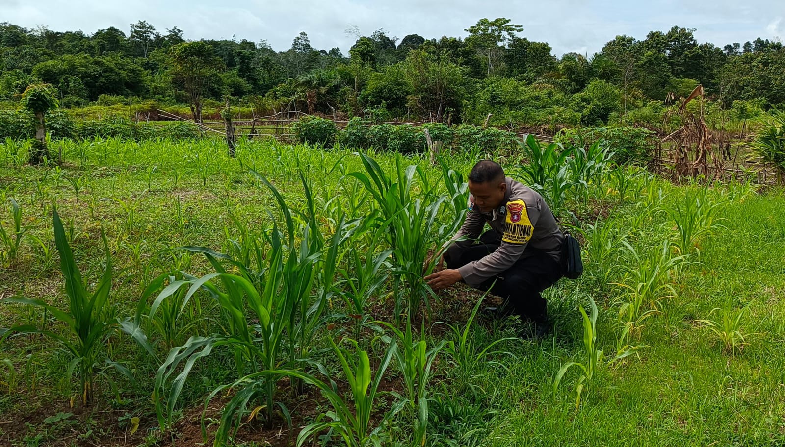 ‎Mendukung Ketahanan Pangan, Personil Polsek Katingan Hulu  Cek Lokasi Pemanfaatan Pekarangan Warga.