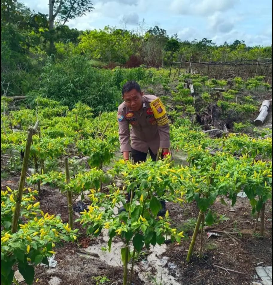 Personil Polsek Sanaman Mantikei Cek Lokasi Pemanfaatan Pekarangan Warga.