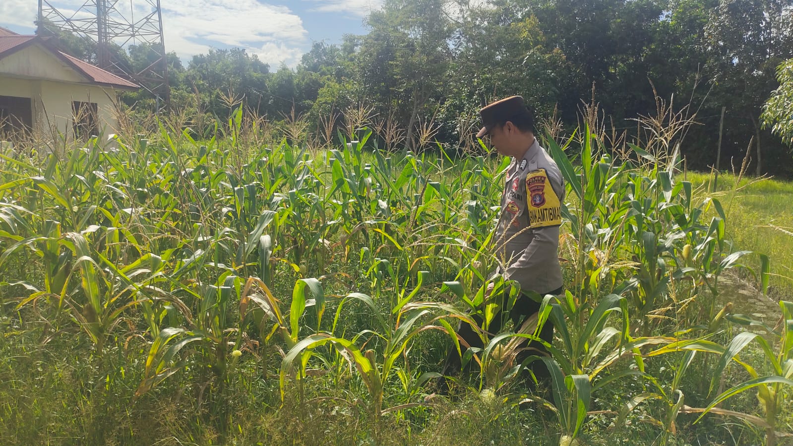 Mendukung ketahanan pangan, Personil Polsek Katingan Kuala cek lokasi pemanfaatan lahan warga berkebun holtikultura