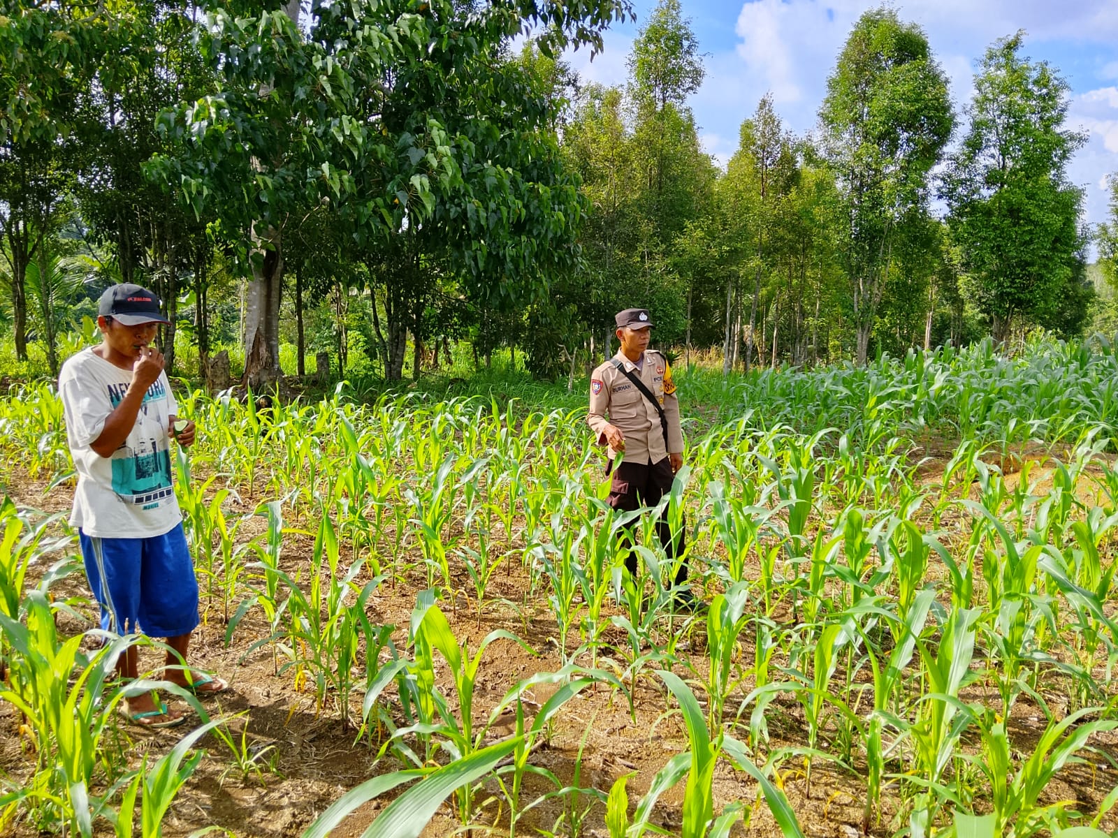 Polsek Teweh Timur Dukung Program Ketahanan Pangan untuk Kesejahteraan Masyarakat