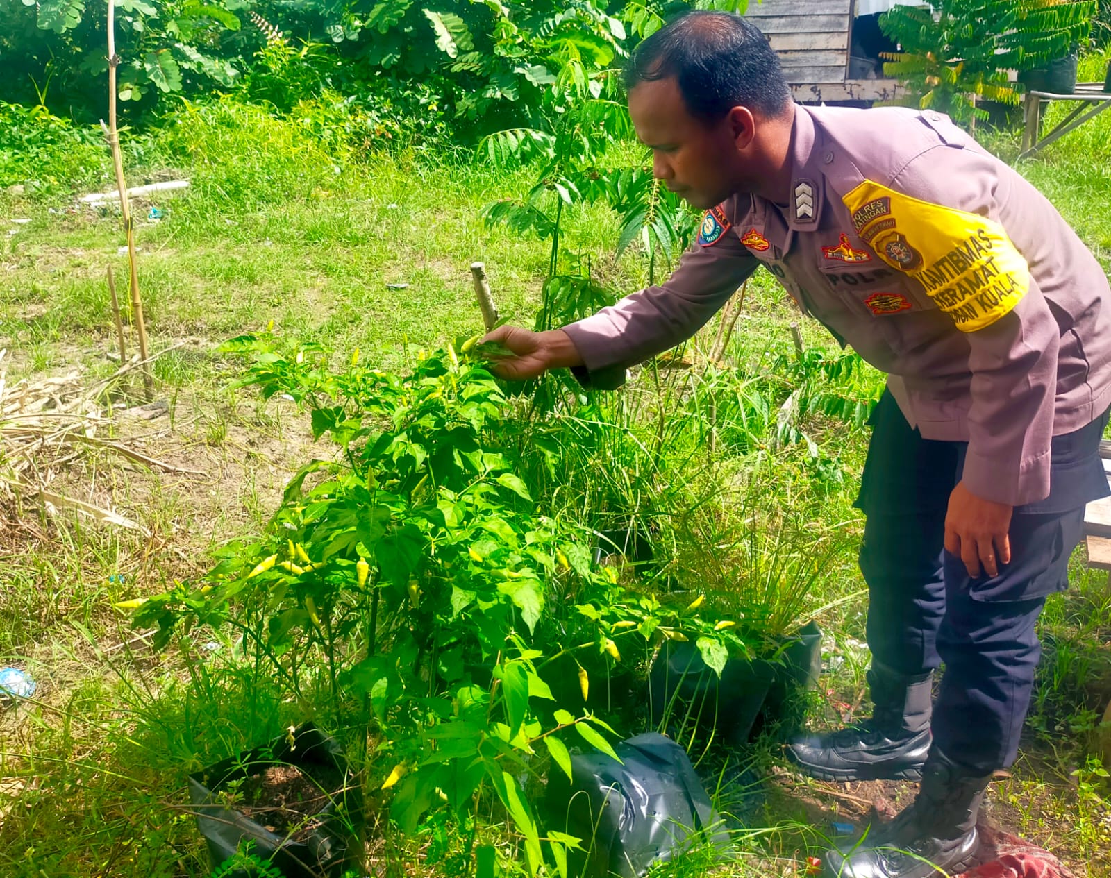 Bhabinkamtibmas Polsek Mendawai cek lokasi pemanfaatan pekarangan rumah warga binaan.
