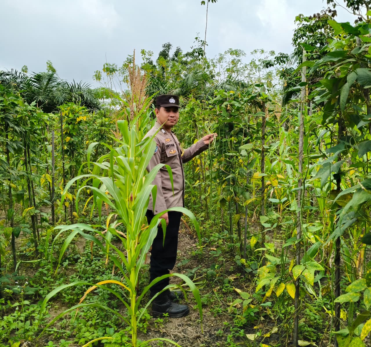 ‎Mendukung Ketahanan Pangan, Personil Polsek Katingan Hulu  Cek Lokasi Pemanfaatan Pekarangan Warga.