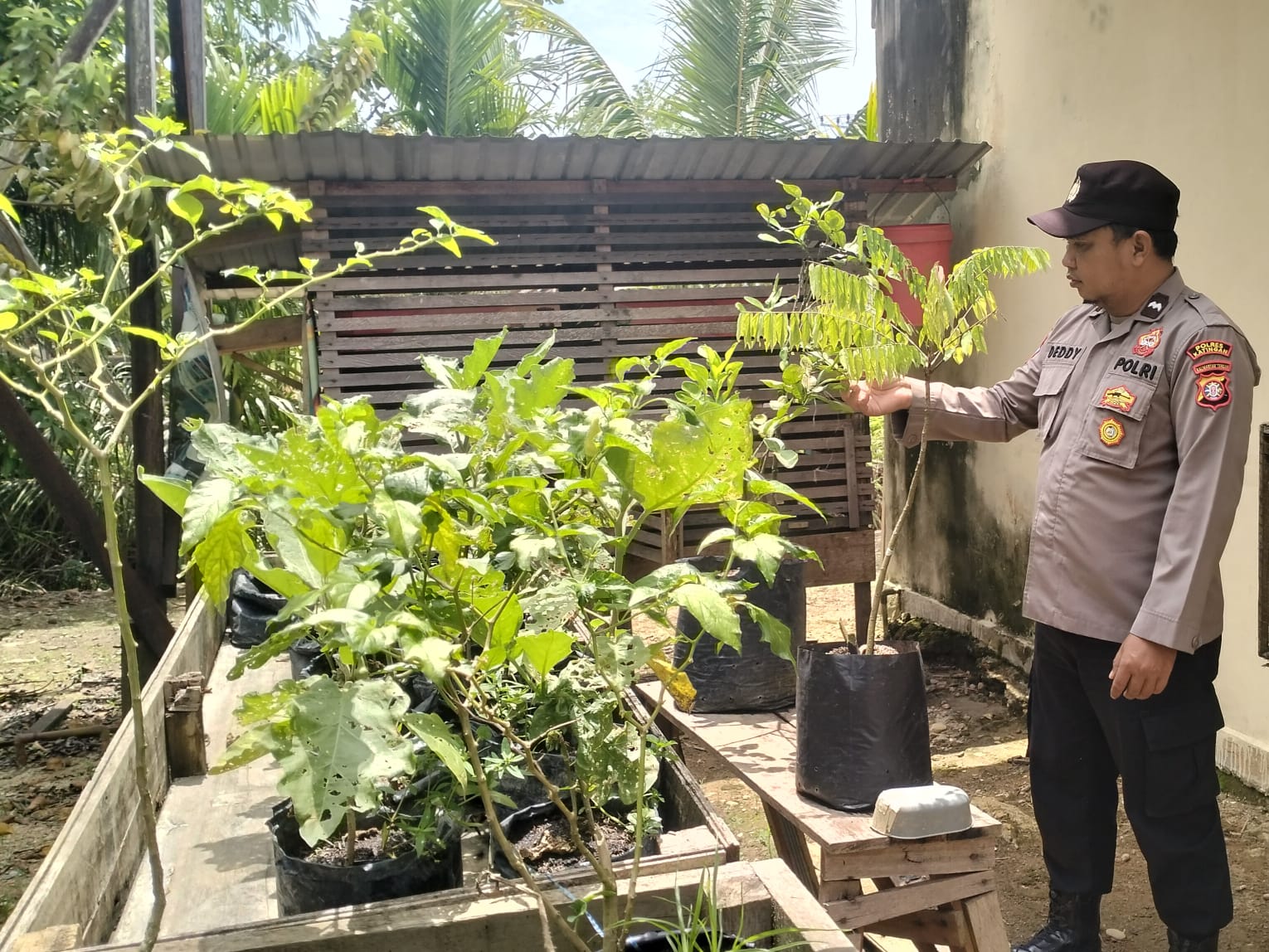 Personil Polsek Marikit Cek Lokasi Pemanfaatan Pekarangan Warga di Kec. Marikit, Kab. Katingan.