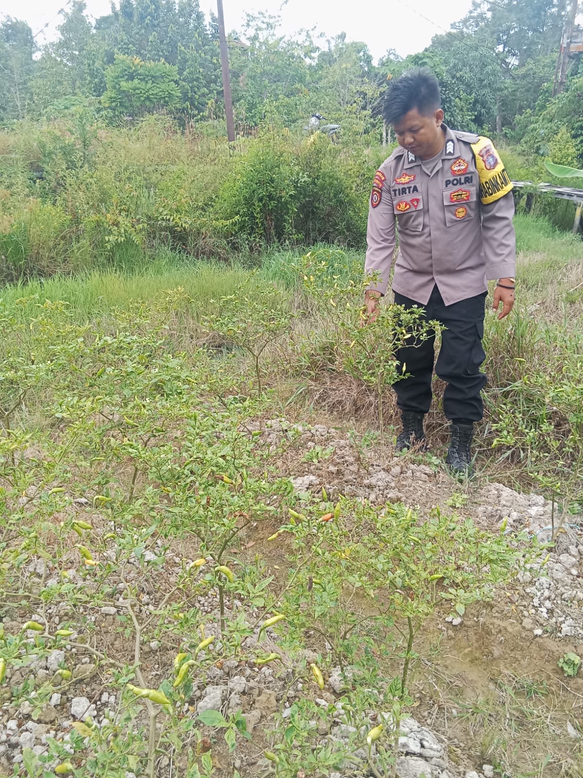 Dalam Rangka Mendukung Program Pemerintah, Bhabinkamtibmas Desa Mendawai Polsek Mendawai Cek Lokasi Pemanfaatan Lahan Pekarangan Warga