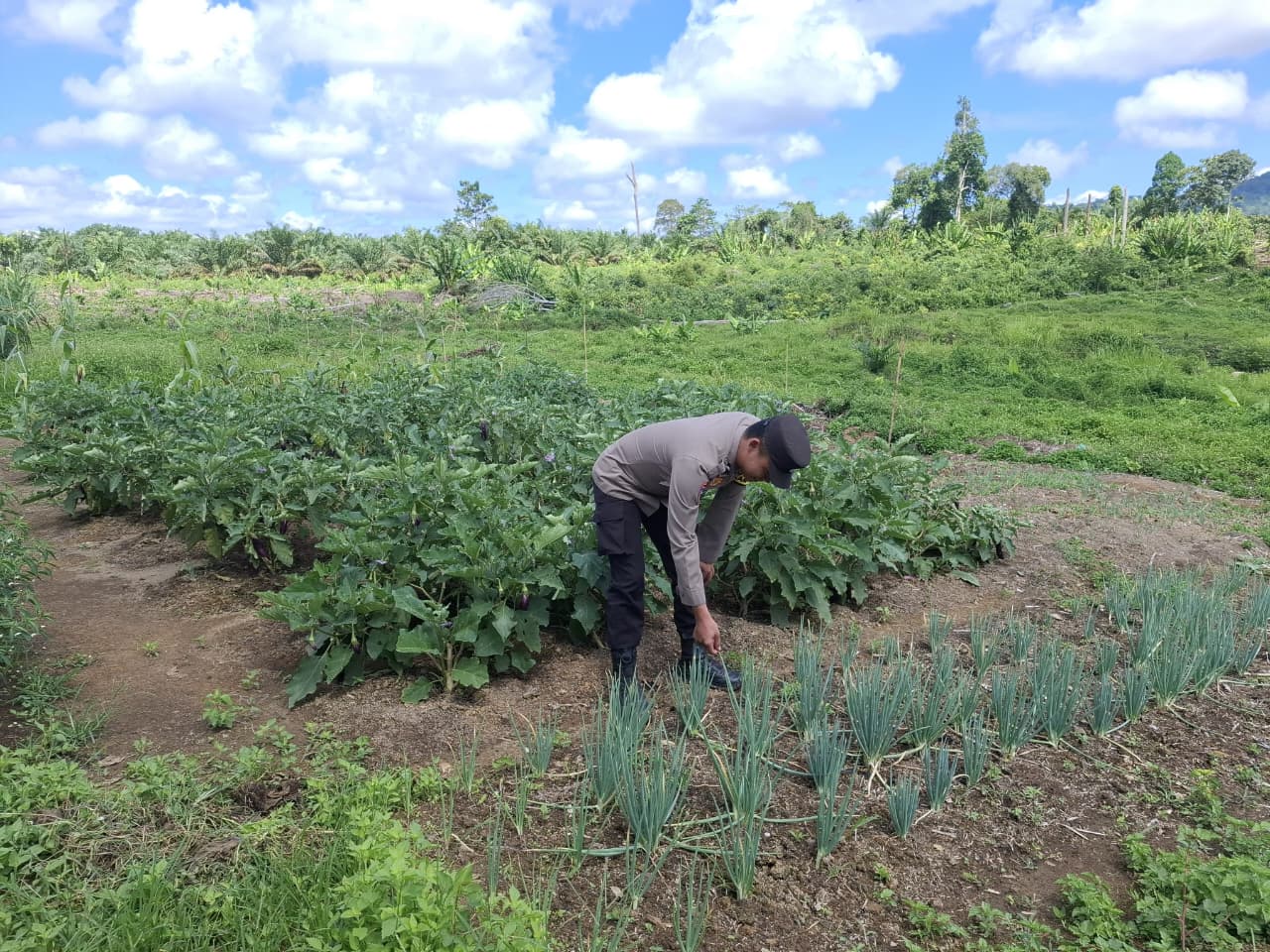 Bhabinkamtibmas Dorong Warga Optimalkan Pekarangan untuk Ketahanan Pangan