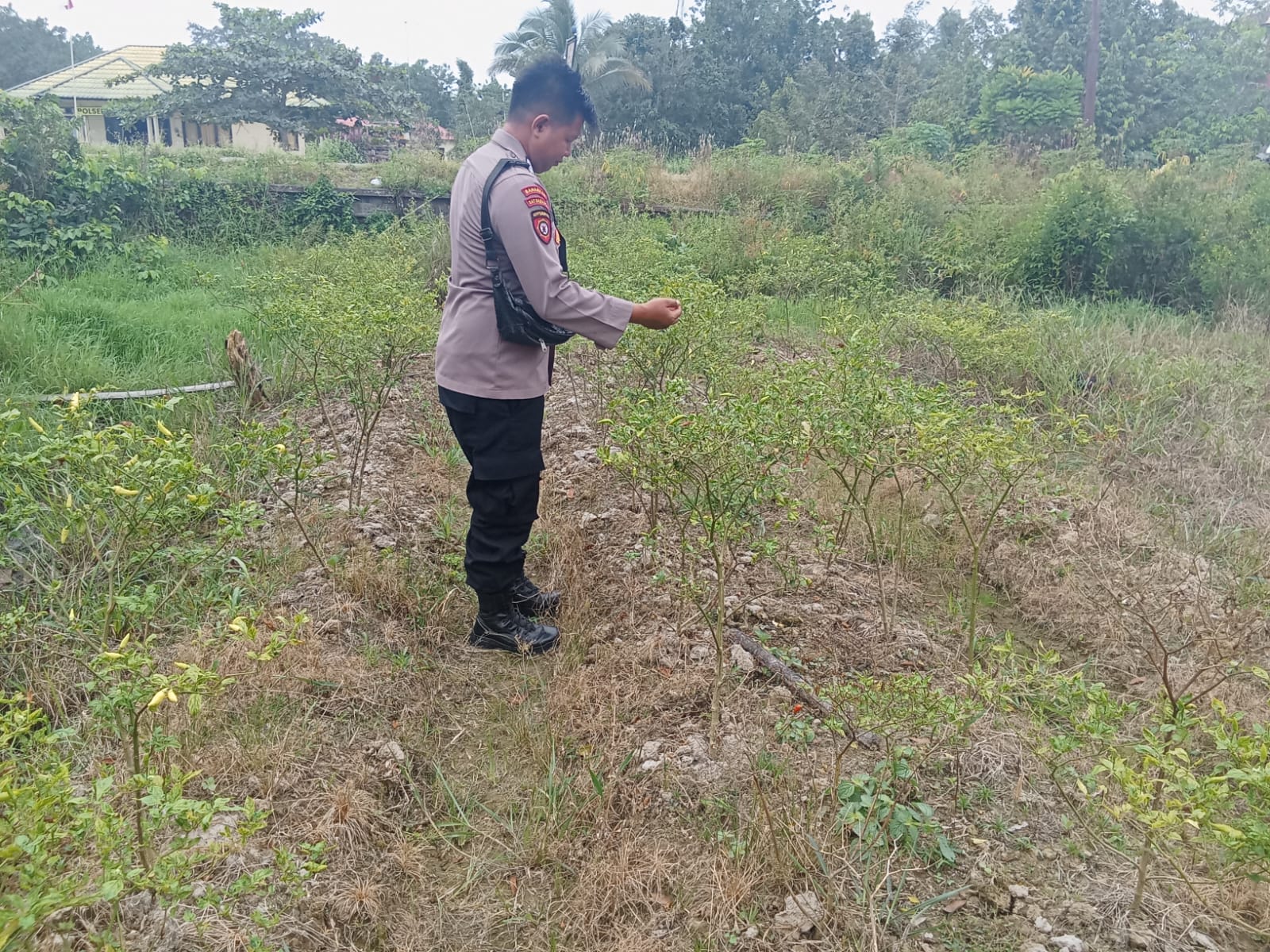 Dalam Rangka Mendukung Program Pemerintah, Bhabinkamtibmas Desa Mendawai Polsek Mendawai Cek Lokasi Pemanfaatan Lahan Pekarangan Warga
