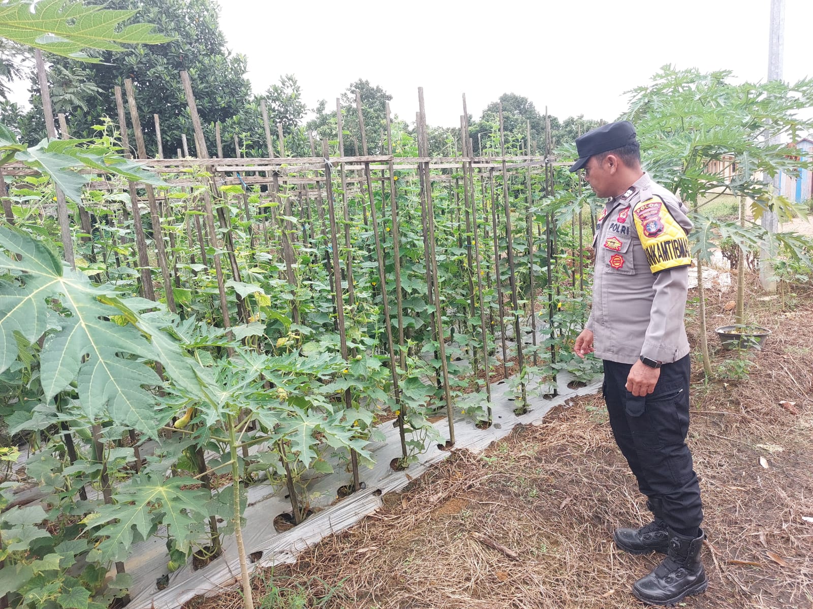 Personil Polsek Marikit Cek Lokasi Pemanfaatan Pekarangan Warga di Kec. Marikit, Kab. Katingan.