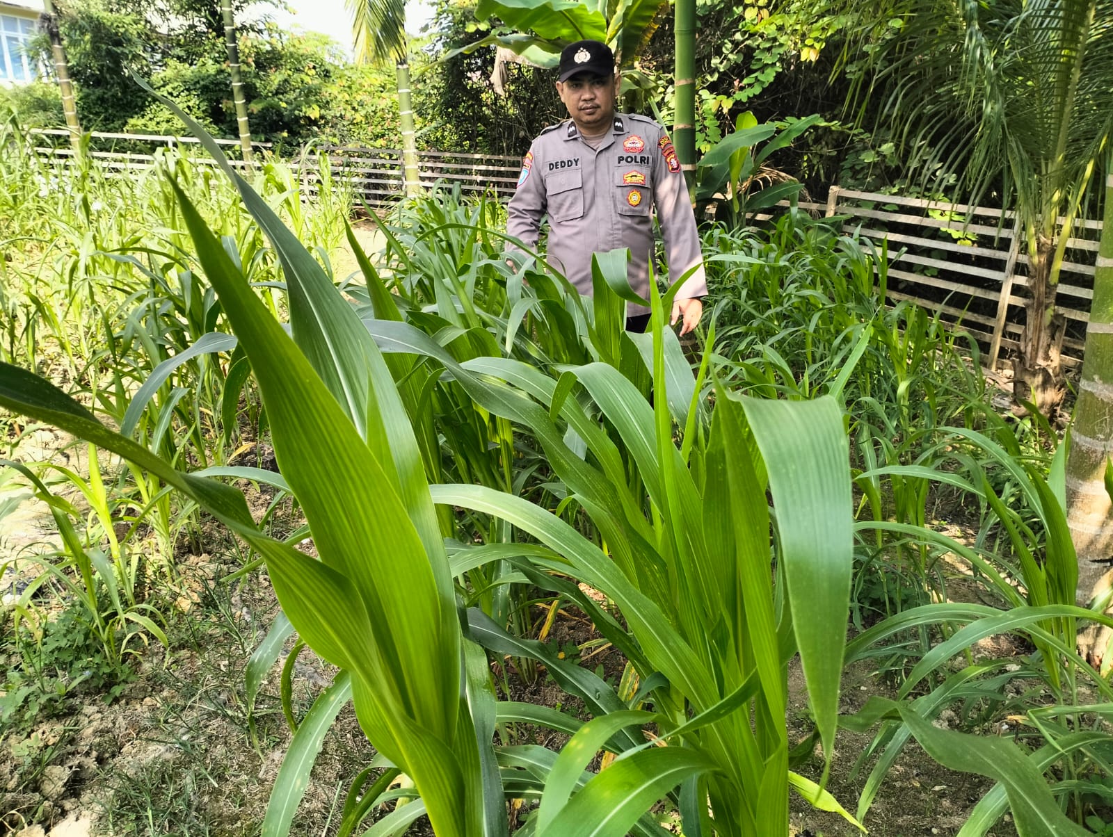 Personil Polsek Marikit Cek Lokasi Pemanfaatan Pekarangan Warga di Kec. Marikit, Kab. Katingan.