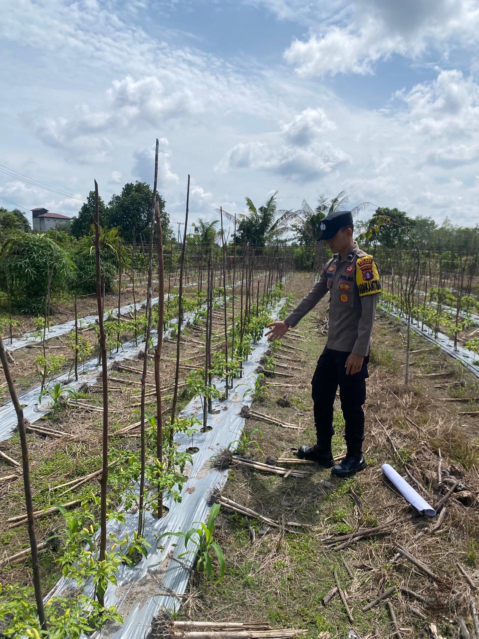 Polsek Tewang Sangalang Garing dan Pulau Malan imbau warga tingkatkan pemanfaatan lahan untuk ketahanan pangan