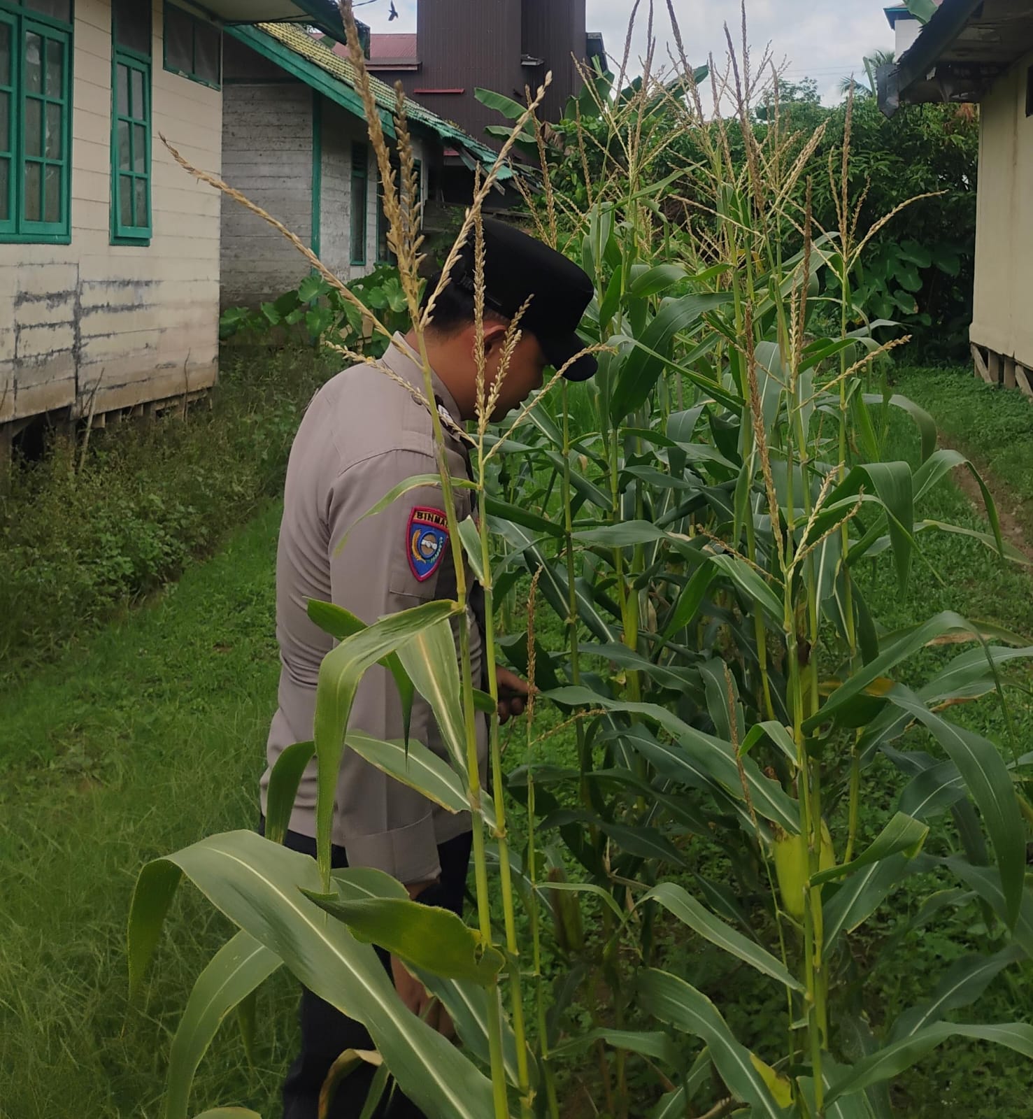 Personil Polsek Tasik Payawan dan Kamipang Cek Lokasi Pemanfaatan Pekarangan Warga