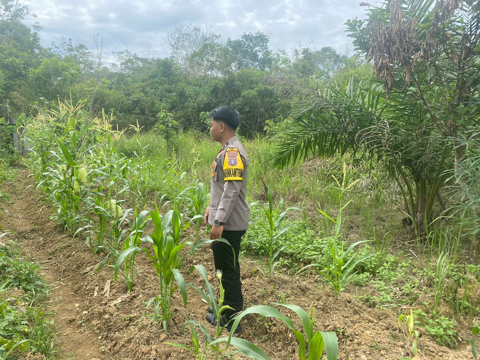 Mendukung Ketahanan Pangan, Personil Polsek sanaman mantikei Cek Lokasi Pemanfaatan Pekarangan Warga.
