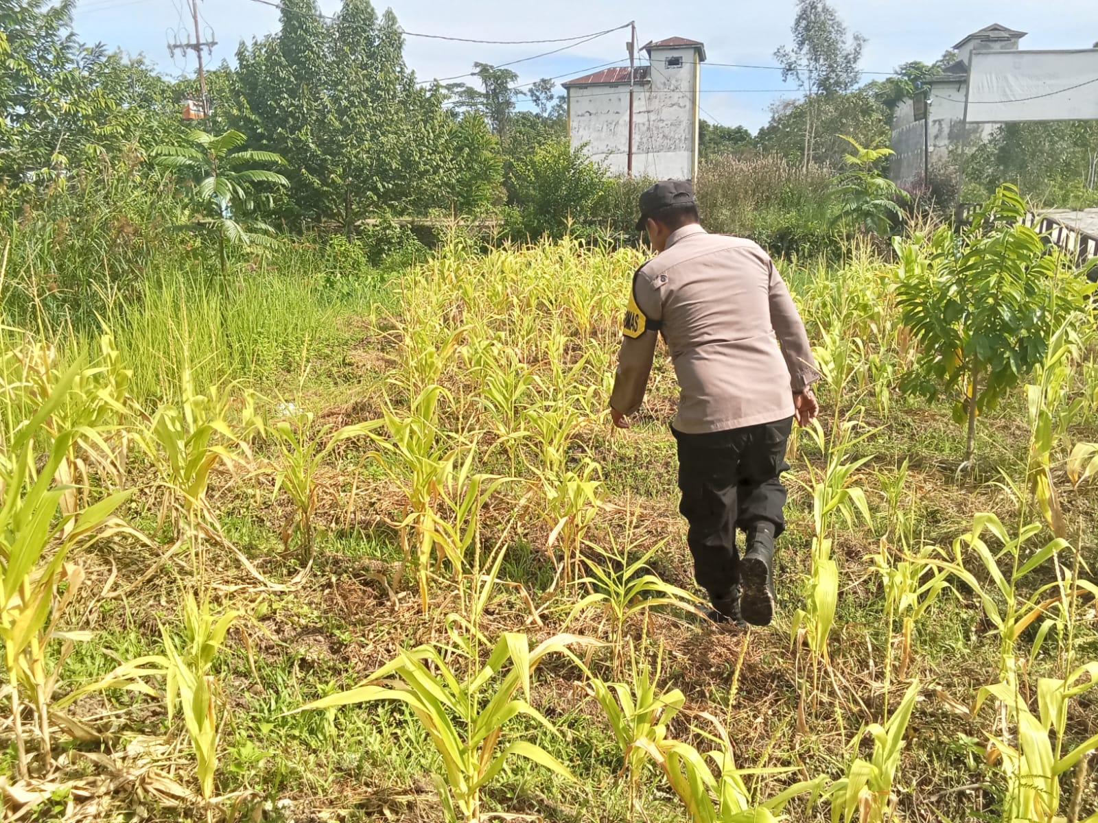 Dalam Rangka Mendukung Program Pemerintah, Bhabinkamtibmas Desa Mendawai Polsek Mendawai Cek Lokasi Pemanfaatan Lahan Pekarangan Warga