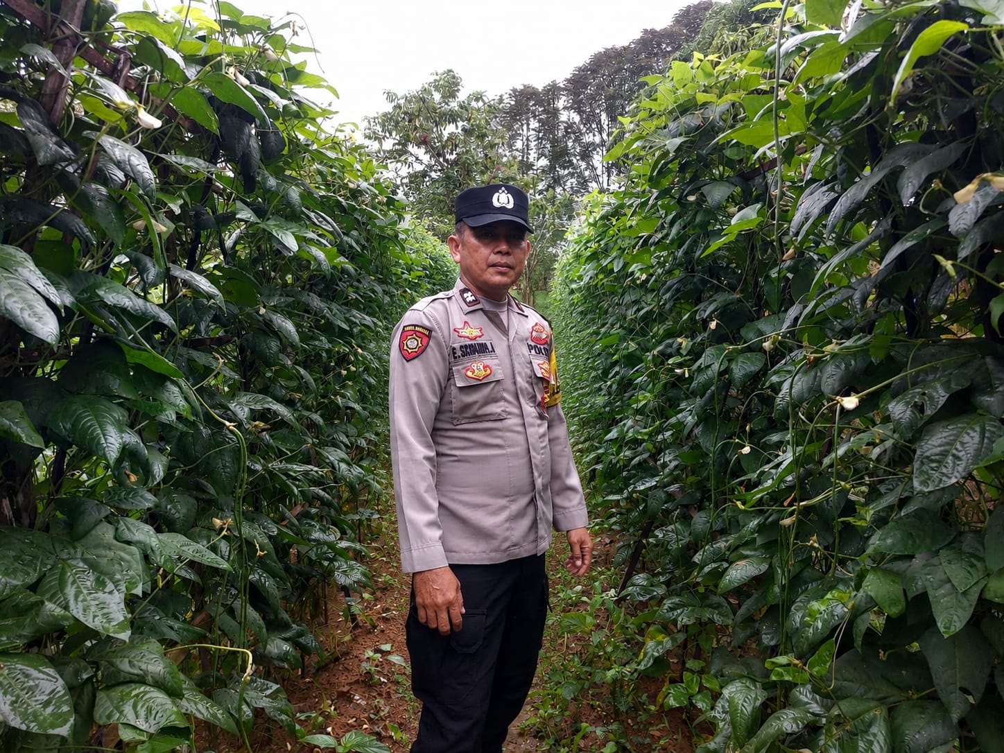 Personil Polsek Marikit Cek Lokasi Pemanfaatan Pekarangan Warga di Kec. Marikit, Kab. Katingan.