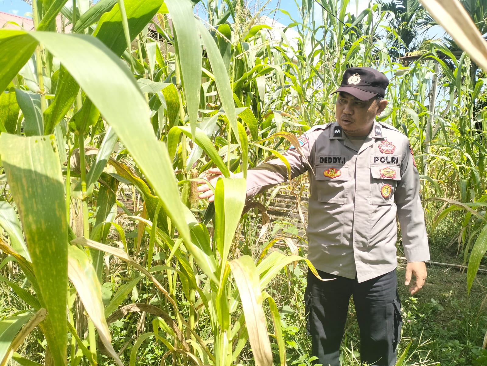 Personil Polsek Marikit Cek Lokasi Pemanfaatan Pekarangan Warga di Kec. Marikit, Kab. Katingan.