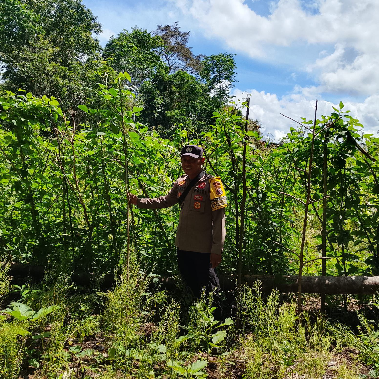 Mendukung Ketahanan Pangan, Personil Polsek sanaman mantikei Cek Lokasi Pemanfaatan Pekarangan Warga.