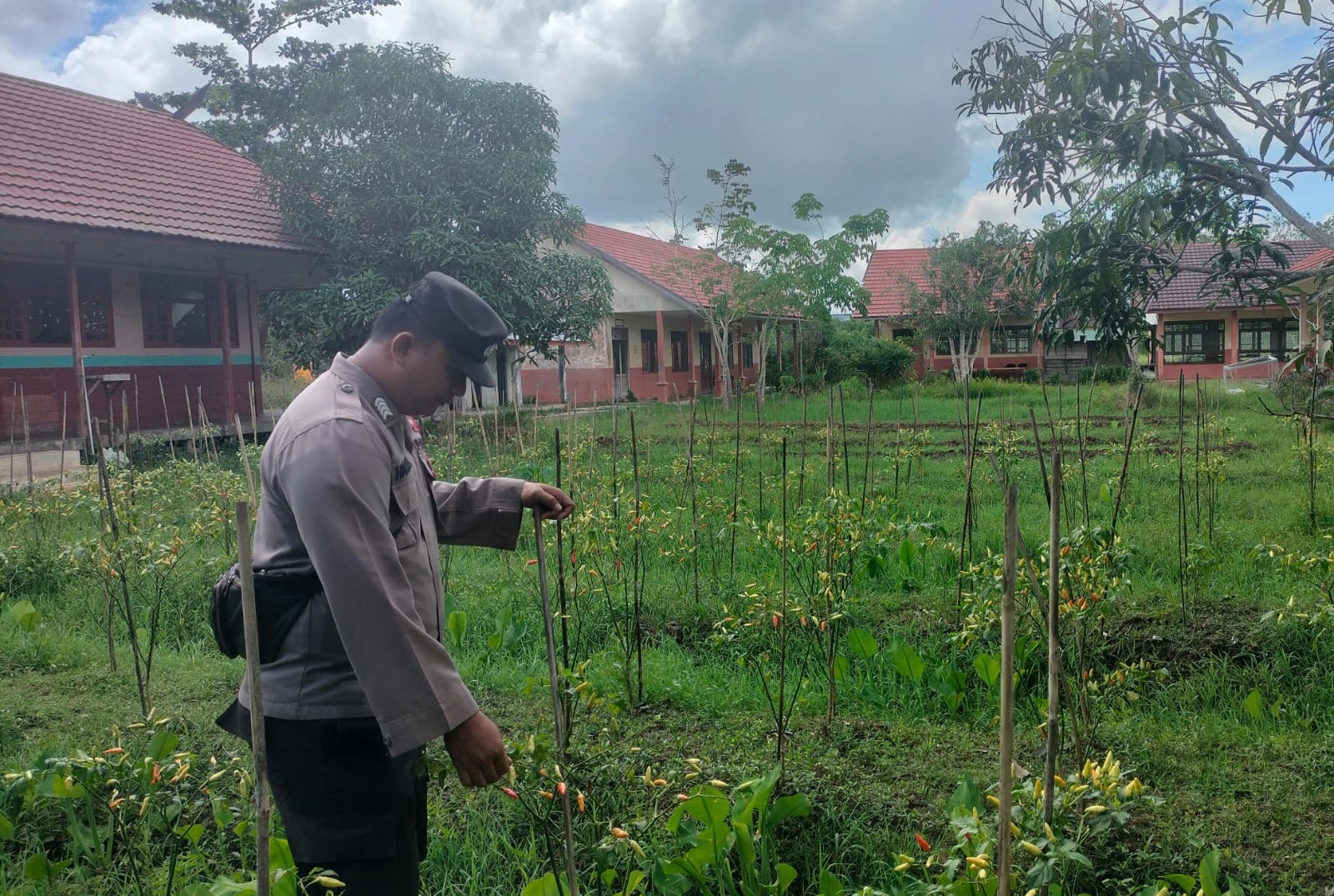 Dalam Rangka Mendukung Program Pemerintah, Bhabinkamtibmas Desa Perigi Polsek Mendawai Cek Lokasi Pemanfaatan Lahan Pekarangan Warga