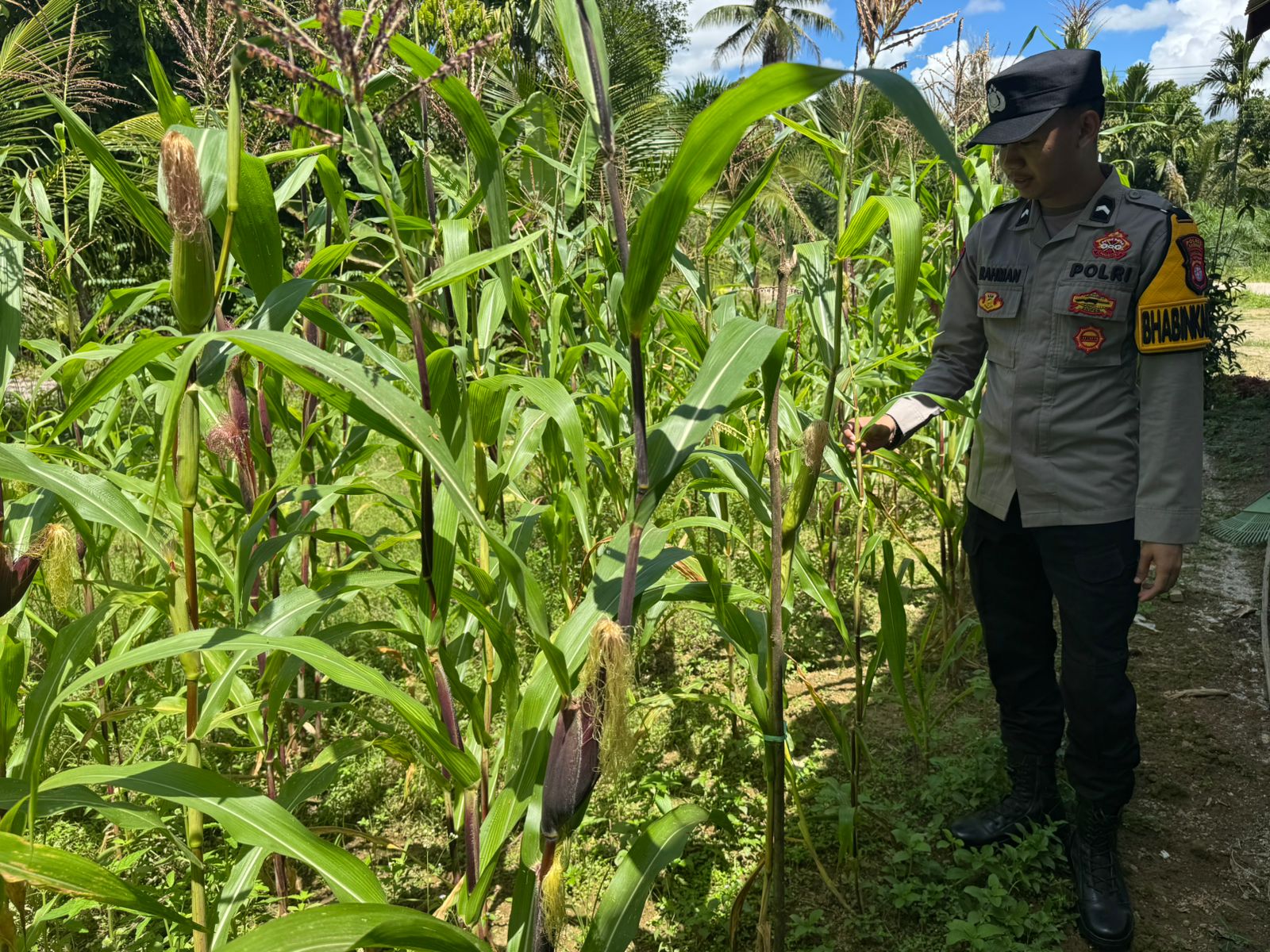 Polsek Tewang Sangalang Garing dan Pulau Malan Imbau Warga Tingkatkan Pemanfaatan Lahan Untuk Ketahanan Pangan