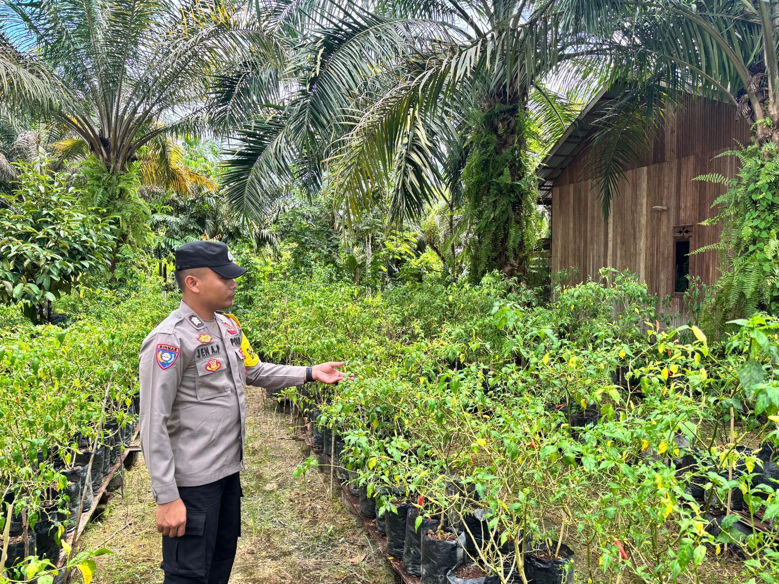 Polsek Tewang Sangalang Garing dan Pulau Malan Imbau Warga Tingkatkan Pemanfaatan Lahan Untuk Ketahanan Pangan