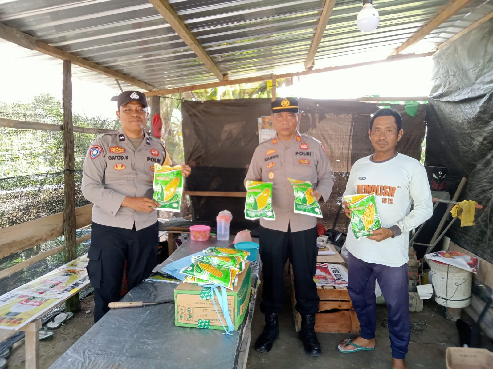 Polsek Bulik serahkan bantuan bibit jagung hibrida dukung ketahanan pangan