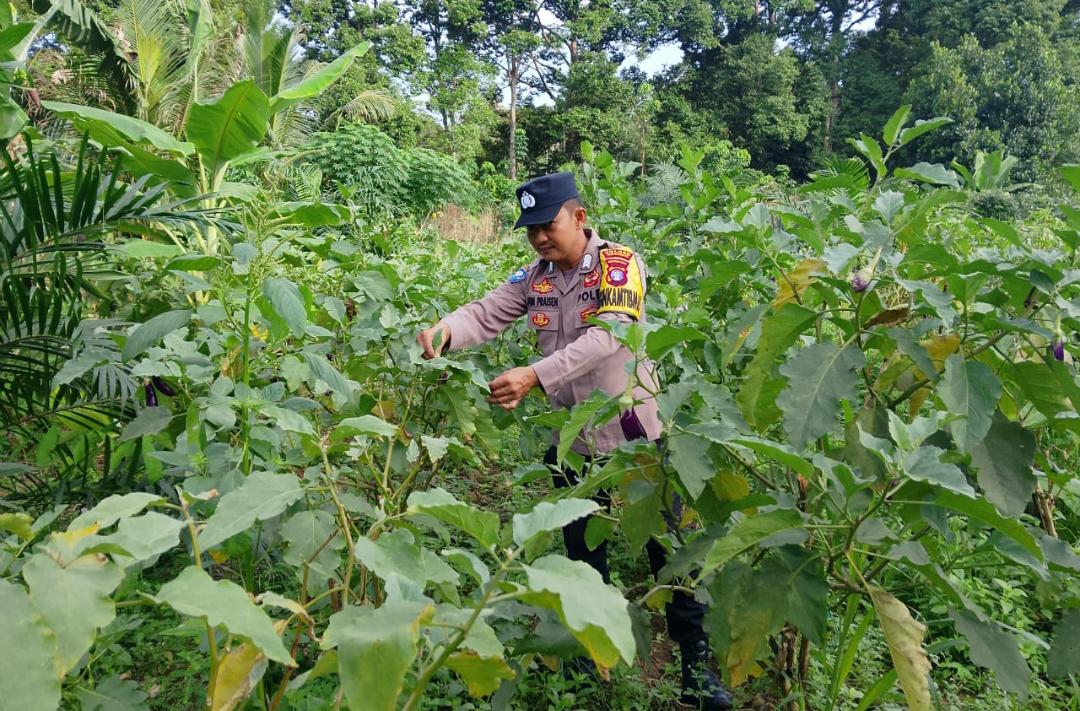 Polsek Tewang Sangalang Garing dan Pulau Malan Imbau Warga Tingkatkan Pemanfaatan Lahan Untuk Ketahanan Pangan