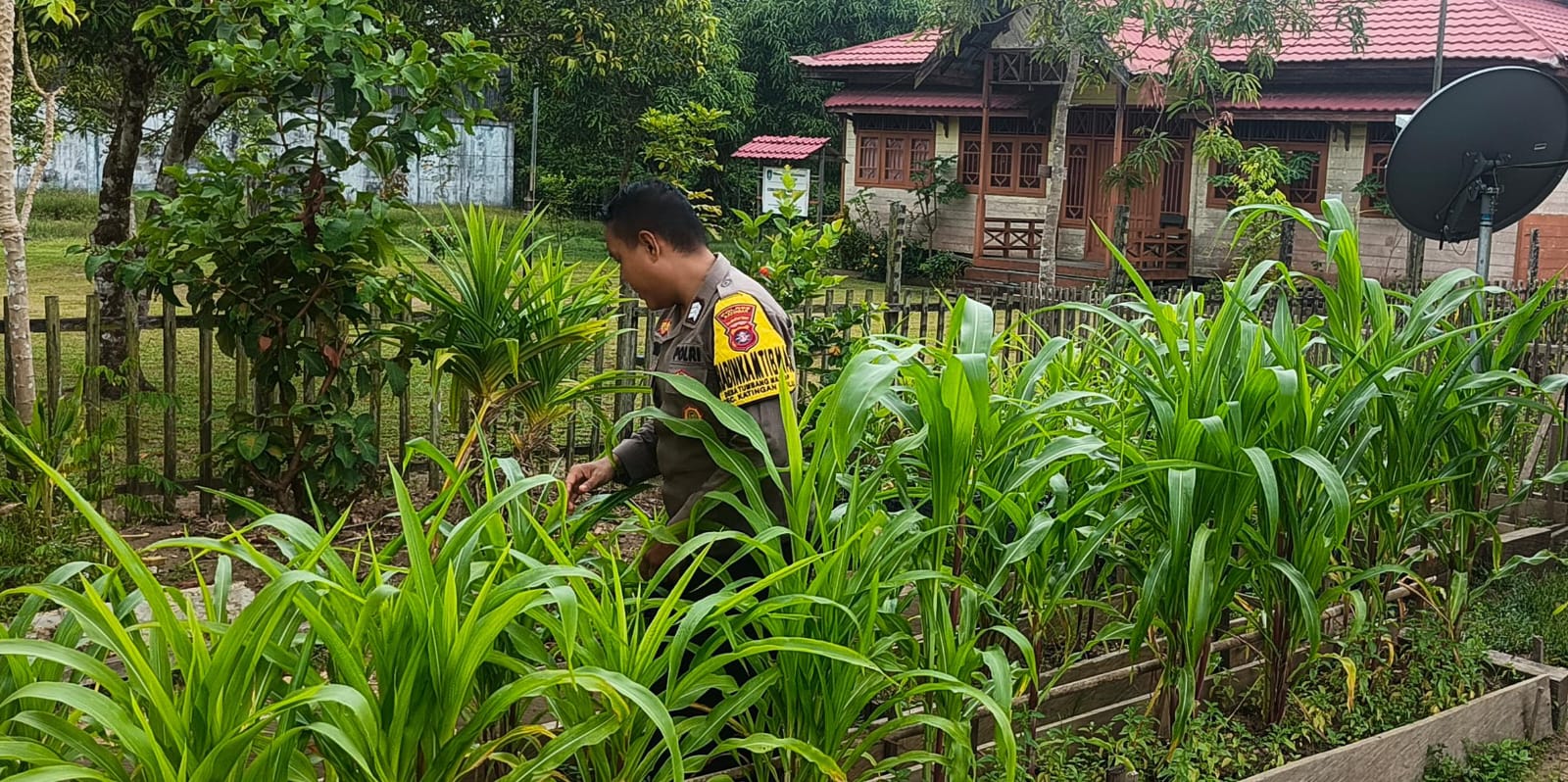 Mendukung Ketahanan Pangan, Personil Polsek Katingan Hulu Cek Lokasi Pemanfaatan Pekarangan Warga.
