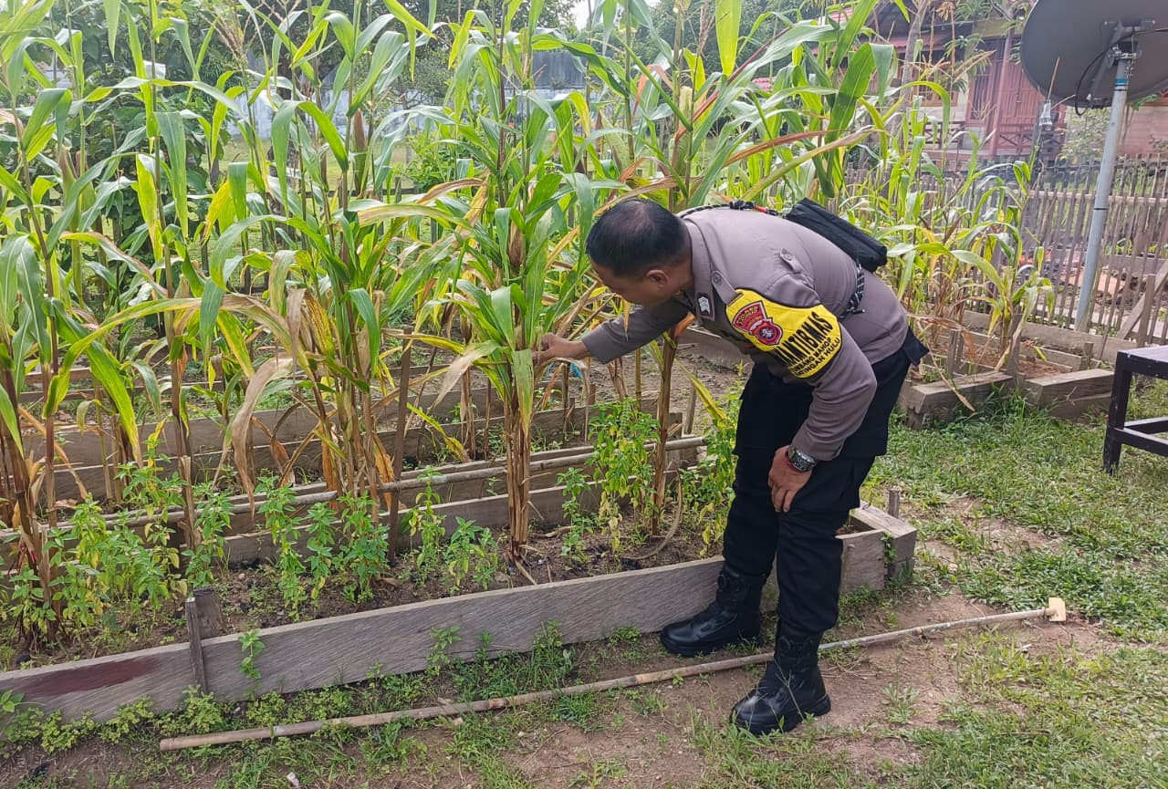 Mendukung Ketahanan Pangan, Personil Polsek Katingan Hulu Cek Lokasi Pemanfaatan Pekarangan Warga.