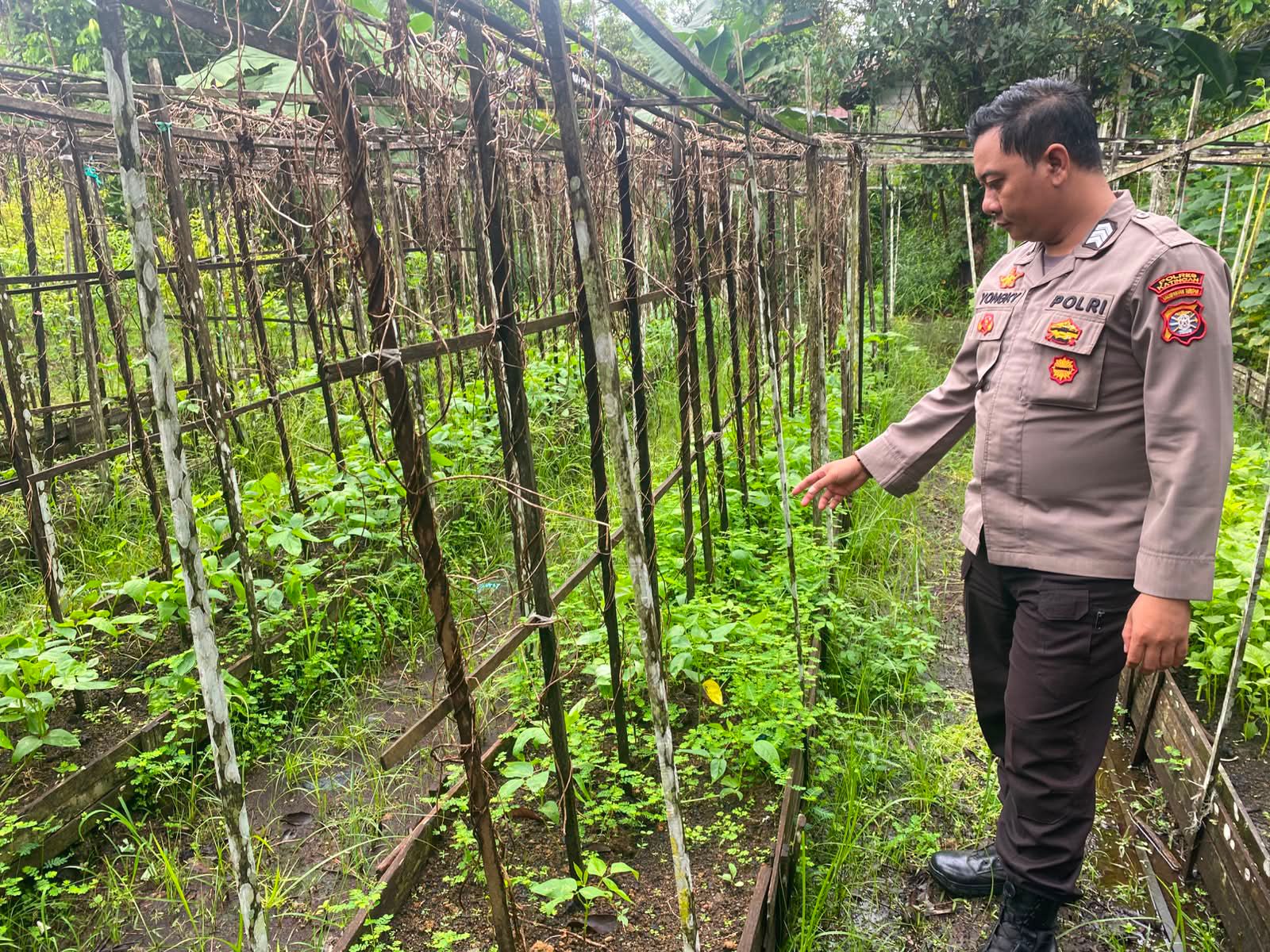 Mendukung Ketahanan Pangan, Personil Polsek sanaman mantikei Cek Lokasi Pemanfaatan Pekarangan Warga.