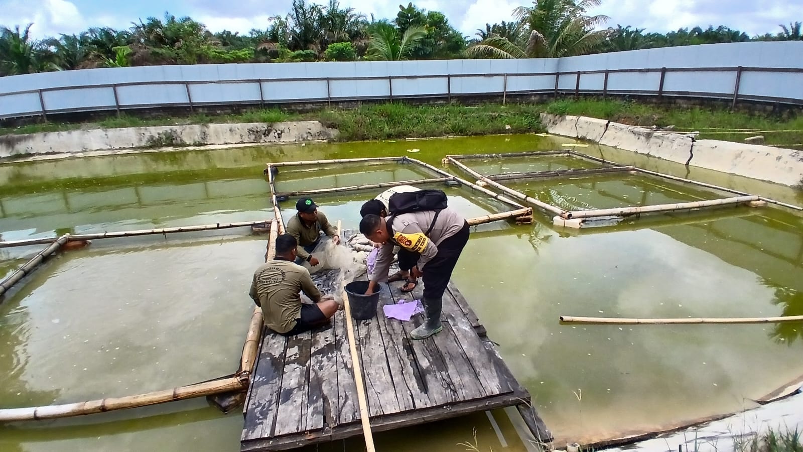 Perkuat Ketahanan Pangan dari Desa, Bhabinkamtibmas Cek Perkembangan Kolam BUMDes