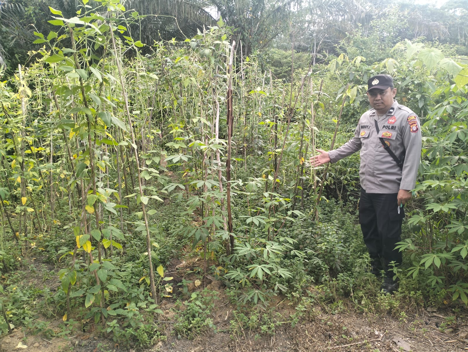 Personil Polsek Marikit Cek Lokasi Pemanfaatan Pekarangan Warga di Kec. Marikit, Kab. Katingan.