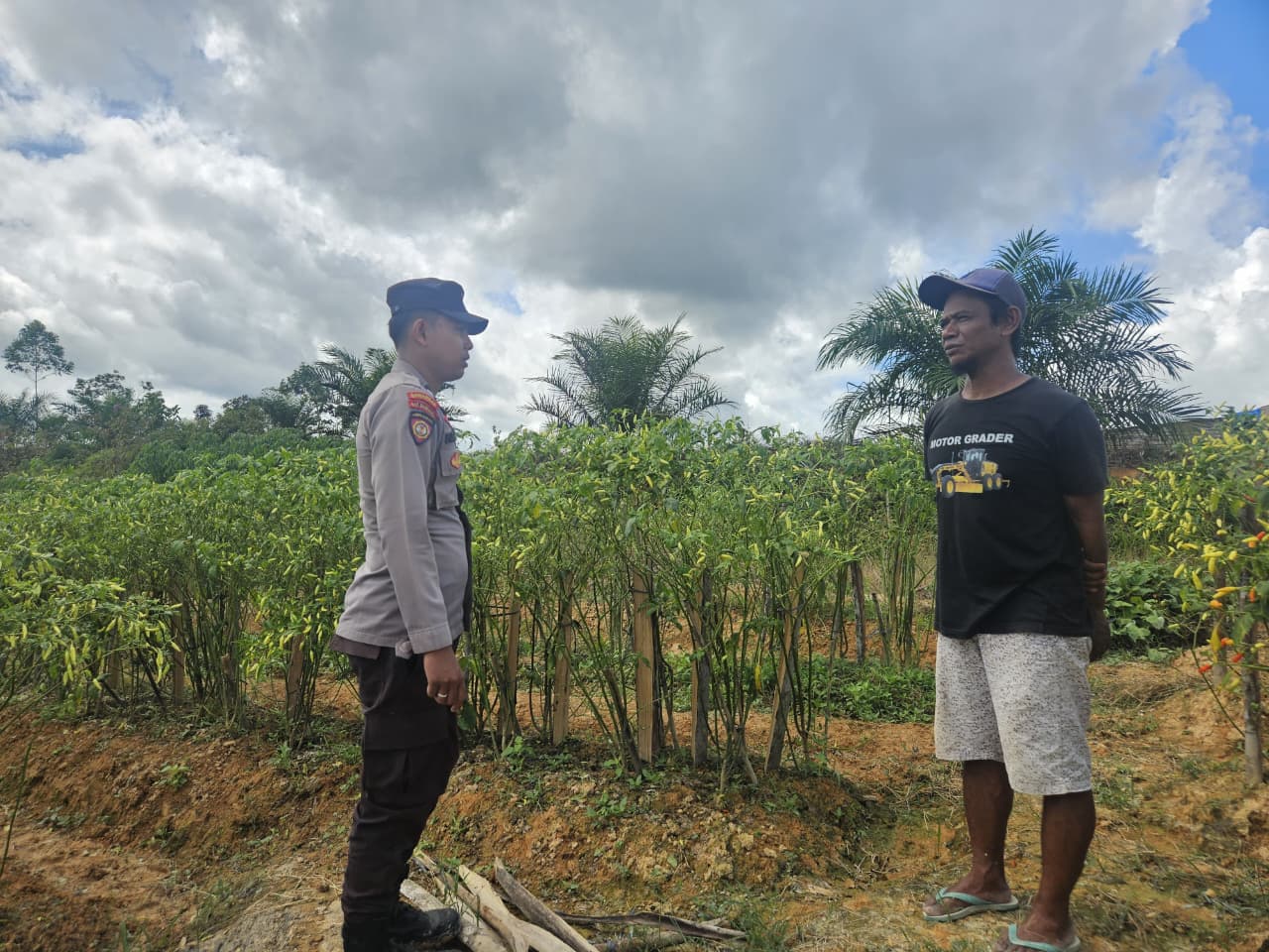 Dorong Warga Dukung Program Ketahanan Pangan, Bhabinkamtibmas Sambangi Pekarangan Bergizi